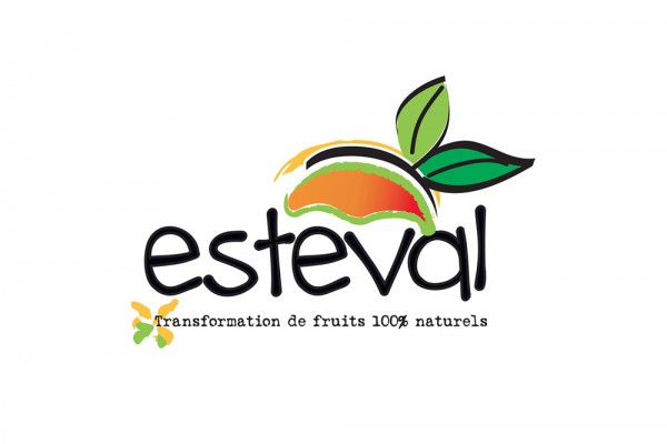 esteval-logo-os-galleryC53FFE16-D500-A810-4B64-FB35237E50E7.jpg